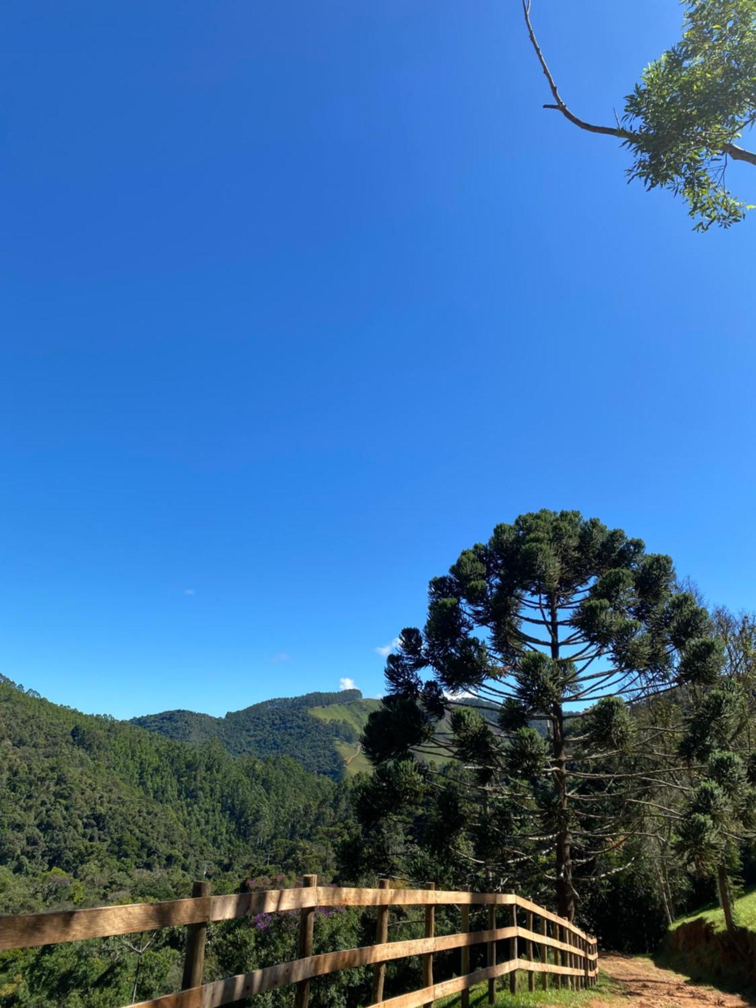 Chales Fazenda Floresta Das Araucarias Cunha Exterior photo